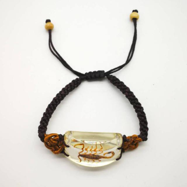 Scorpion Man's bracelet accessories Real yellow and black scorpions high quality jewelry Special gift bracelets on hand - Bashatasbih