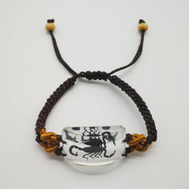 Scorpion Man's bracelet accessories Real yellow and black scorpions high quality jewelry Special gift bracelets on hand - Bashatasbih