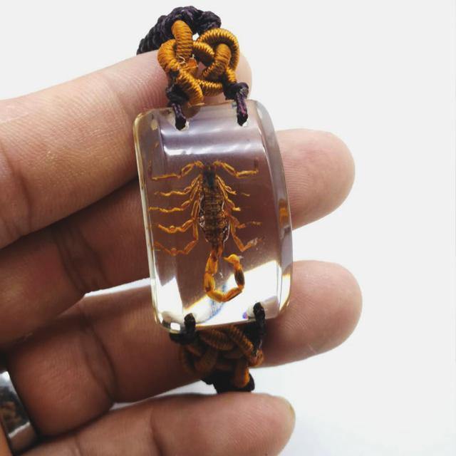 Scorpion Man's bracelet accessories Real yellow and black scorpions high quality jewelry Special gift bracelets on hand - Bashatasbih