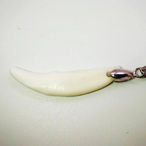 Tasbih Natural horn with wolf teeth - Bashatasbih