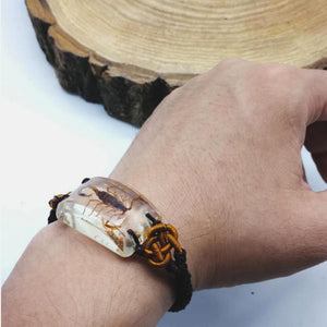 Scorpion Man's bracelet accessories Real yellow and black scorpions high quality jewelry Special gift bracelets on hand - Bashatasbih